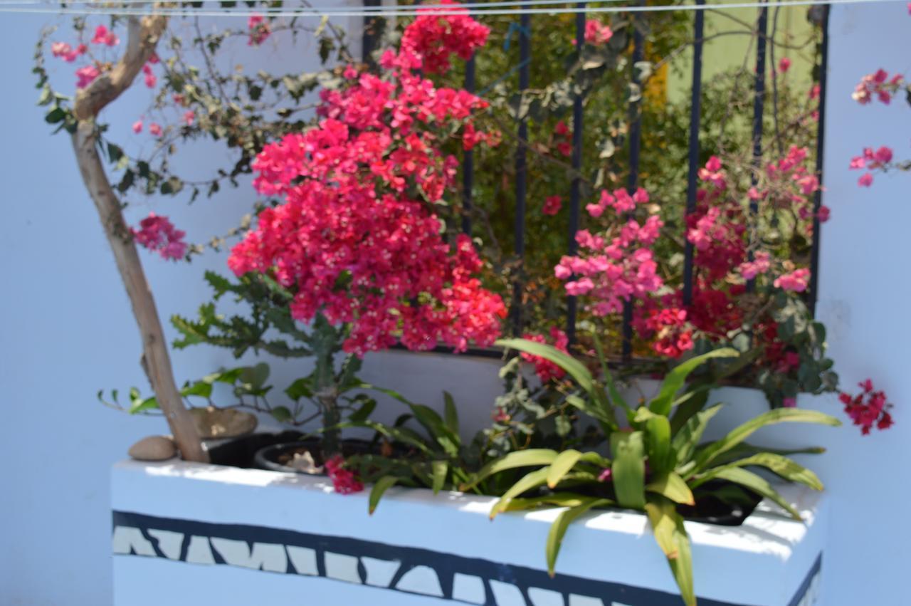 Yacht Club Sal Bed & Breakfast Palmeira Ngoại thất bức ảnh